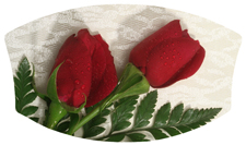 DNSWILL 058 2 Roses Red